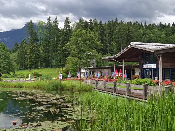 Wiese und Bäume am Naturbad Aschauerweiher