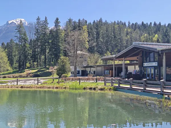 Grüner Biergarten am Aschauerweiher